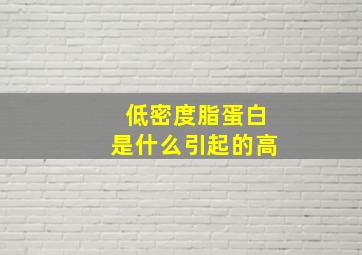 低密度脂蛋白是什么引起的高