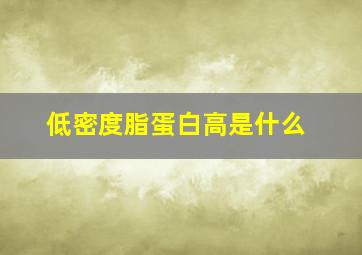 低密度脂蛋白高是什么