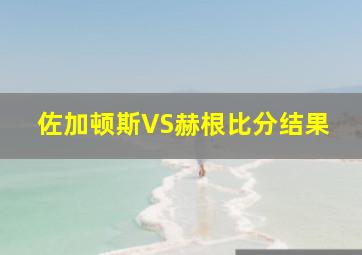 佐加顿斯VS赫根比分结果