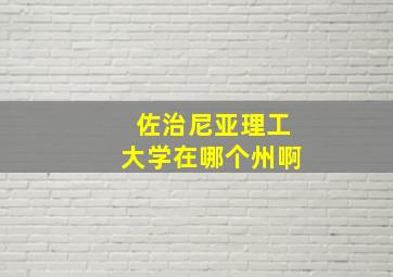 佐治尼亚理工大学在哪个州啊