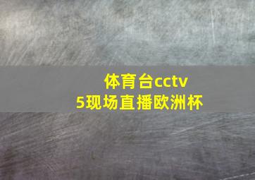 体育台cctv5现场直播欧洲杯