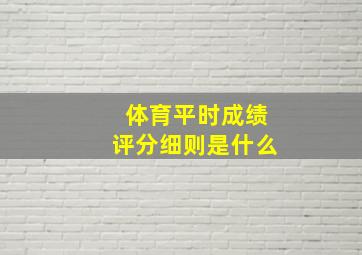 体育平时成绩评分细则是什么