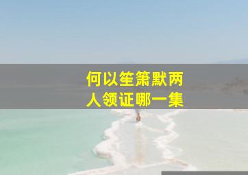 何以笙箫默两人领证哪一集