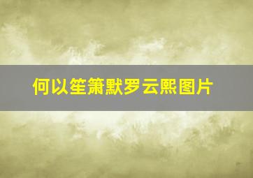 何以笙箫默罗云熙图片