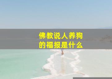 佛教说人养狗的福报是什么