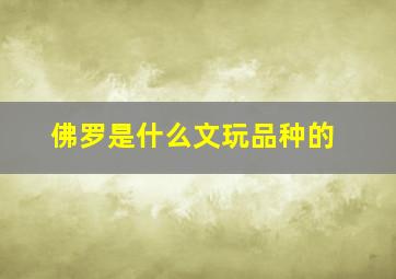 佛罗是什么文玩品种的