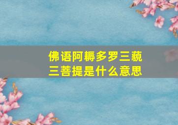 佛语阿耨多罗三藐三菩提是什么意思