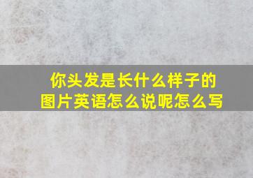 你头发是长什么样子的图片英语怎么说呢怎么写