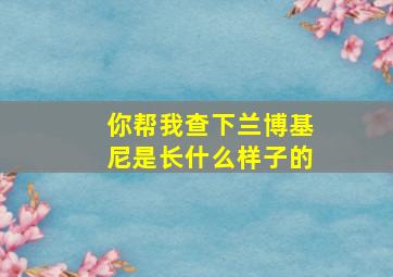 你帮我查下兰博基尼是长什么样子的