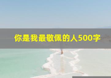 你是我最敬佩的人500字