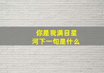 你是我满目星河下一句是什么