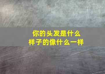 你的头发是什么样子的像什么一样