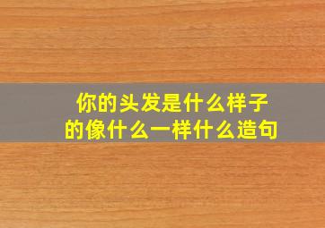 你的头发是什么样子的像什么一样什么造句