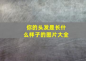 你的头发是长什么样子的图片大全