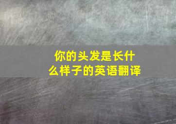 你的头发是长什么样子的英语翻译