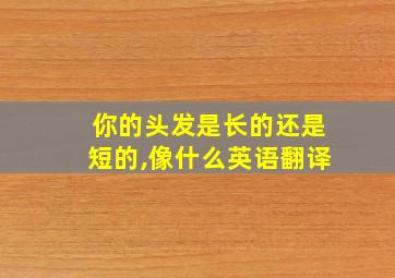 你的头发是长的还是短的,像什么英语翻译