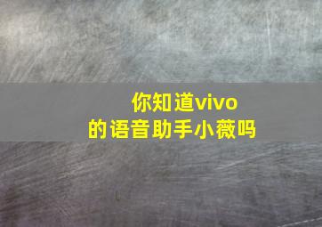 你知道vivo的语音助手小薇吗