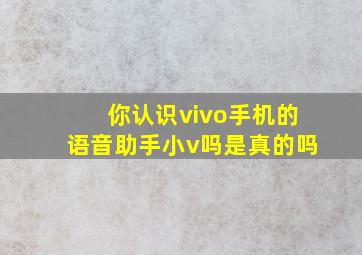 你认识vivo手机的语音助手小v吗是真的吗