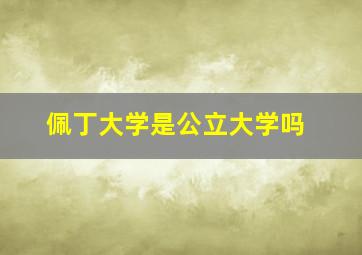 佩丁大学是公立大学吗