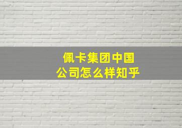 佩卡集团中国公司怎么样知乎