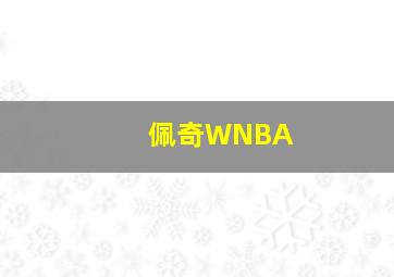 佩奇WNBA