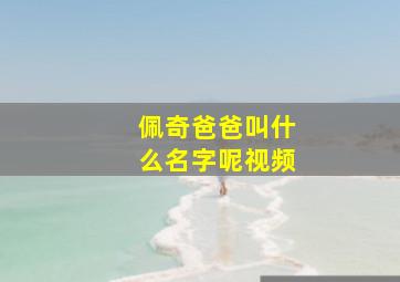 佩奇爸爸叫什么名字呢视频