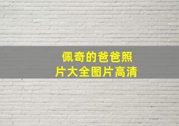 佩奇的爸爸照片大全图片高清