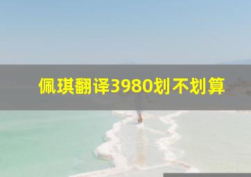 佩琪翻译3980划不划算