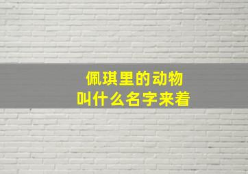 佩琪里的动物叫什么名字来着