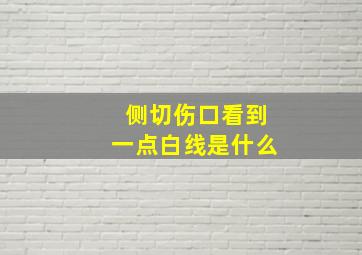 侧切伤口看到一点白线是什么