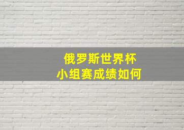 俄罗斯世界杯小组赛成绩如何