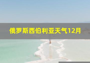 俄罗斯西伯利亚天气12月