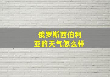 俄罗斯西伯利亚的天气怎么样