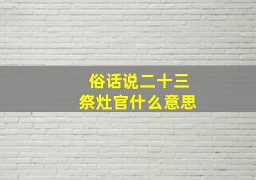 俗话说二十三祭灶官什么意思