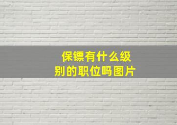 保镖有什么级别的职位吗图片