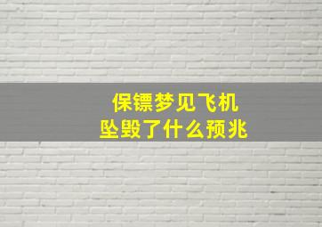 保镖梦见飞机坠毁了什么预兆