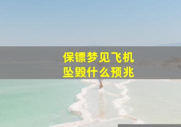 保镖梦见飞机坠毁什么预兆