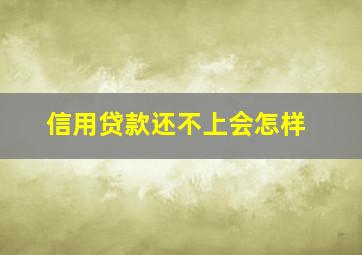 信用贷款还不上会怎样