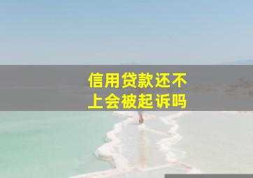 信用贷款还不上会被起诉吗