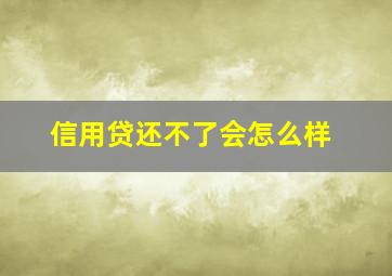 信用贷还不了会怎么样