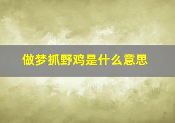 做梦抓野鸡是什么意思