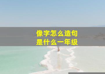 像字怎么造句是什么一年级