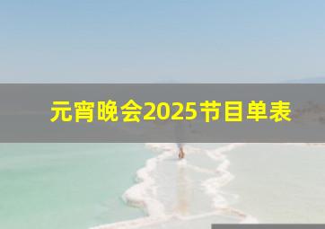 元宵晚会2025节目单表