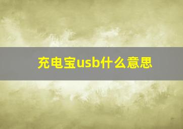 充电宝usb什么意思