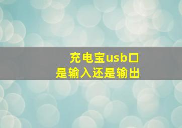 充电宝usb口是输入还是输出