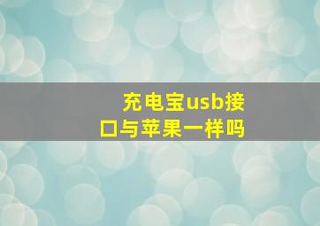 充电宝usb接口与苹果一样吗