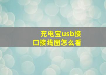 充电宝usb接口接线图怎么看