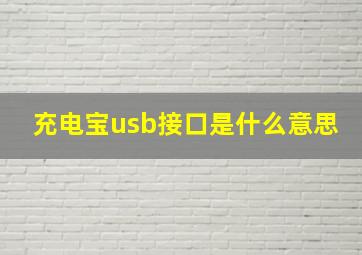 充电宝usb接口是什么意思