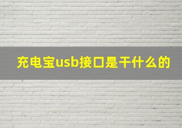 充电宝usb接口是干什么的