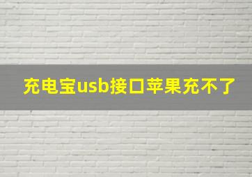 充电宝usb接口苹果充不了